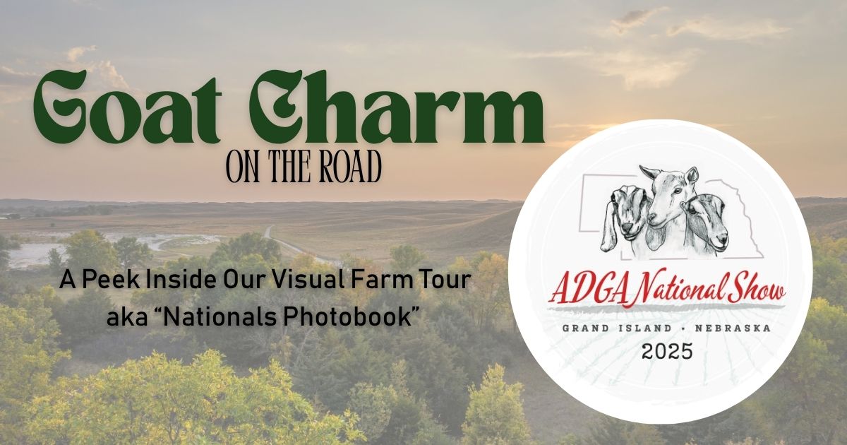 Peek Inside Our Nationals Photobook! 